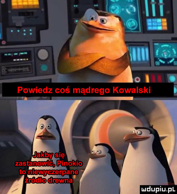 o ii i powiedz coś mądrego kowalski i w mdumufl jamb ysię. agi  a. abakankami zastanoww p nok o to wyczerpane źro ioidrewna