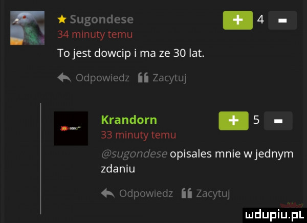 sugondese      minuty temu to jest dowcip i ma ze    lat. odpowvcdz ii zacytuj krandorn.      minuty temu sugondese opisales mnie wrednym zdaniu odpowmdz ii zacytuj