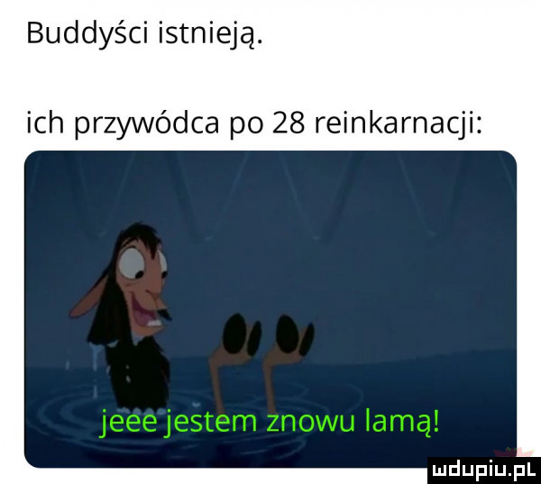 buddyści istnieją. ich przywódca po    reinkarnacji
