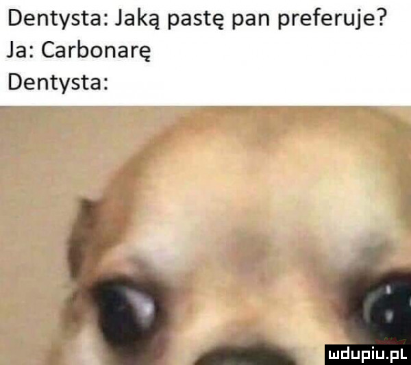 dentysta jaką pastę pan preferuje ja carbonadę dentysta