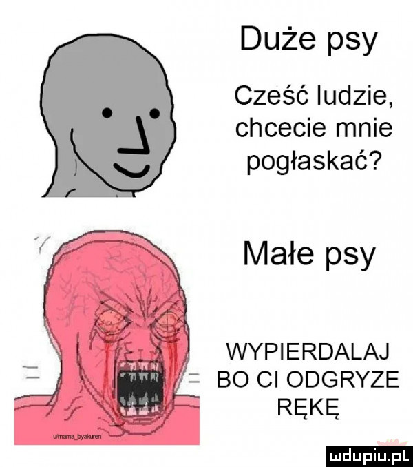 duże psy cześć ludzie chcecie mnie pogłaskać małe psy wypierdalaj bo cl odgryze rękę