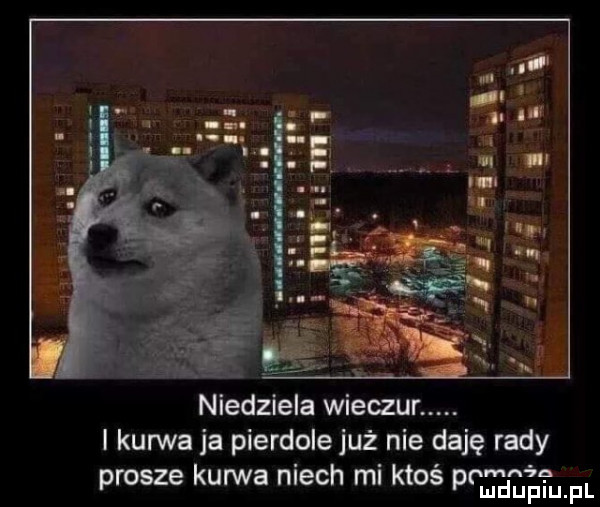 niedziela wilczur. i kurwa ja pierdole już nie daję rady prosze kurwa mech mi ktos pon adam