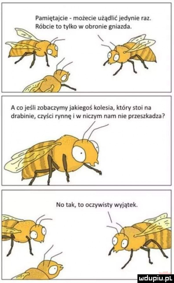pamiętajcie możecie użądlić jedynie raz. róbcie to tylko w obronie gniazda. i o a co jeśli lobaczymy jakiegoś kolesia który stoi na drabinie czyści ryan i w niczym nam nie przeszkadza no tak to oczywisty wyjątek