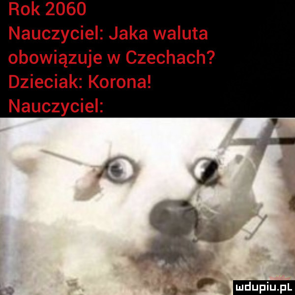 rok      nauczyciel jaka waluta obowiązuje w czechach dzieciak korona nauczyciel ludu iu. l