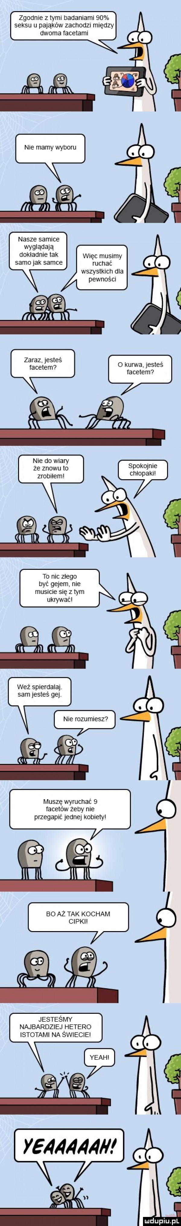 zgodnie z tyml badanlaml    seksu u pająków zachodzi między dwoma facetaml nasze samice wyglądają dokładnie tak więc musimy samo jak samce ruchać wszystkich dla pewności zaraz esteś race them o kurwa jesteś facetem nie do wiary że znowu to skok  n e chlopakl     to mc złego być gejem nie musicie się z tym ukrywać weź spierdalaj sam jesteś gej. muszę wyruchać   facetów żeby nie przegapić jednej komety bo aż tak kocham cipkii jesteśmy najbardziej hetero istotami na swiecie l