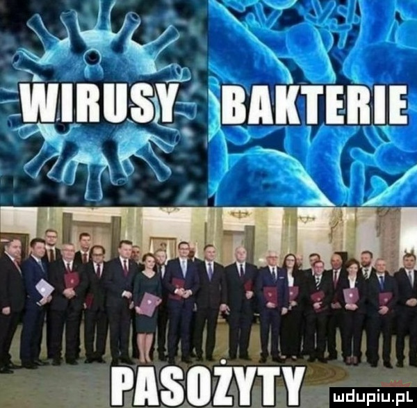 wiiiii ę bach eiiie m xx l  .   tf v     qu ma   an mhaesmmayęmę