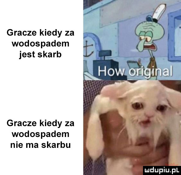 gracze kiedy za wodospadem jest skarb gracze kiedy za wodospadem nie ma skarbu