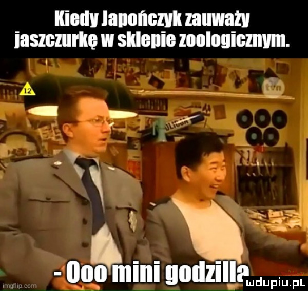kiedvlannńcznzauważv iaszczurlu w selenie zoologicmvm