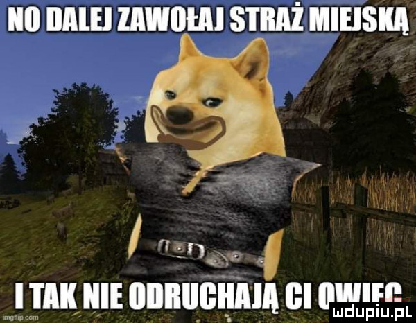 iii ililel wm straż miejska    v ma ł ultaiłięieiiiiiiii gęsia mew rn