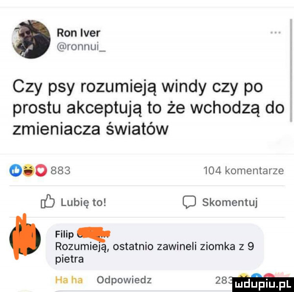 ron iber ronnui czy psy rozumieją windy czy po prestu akceptują to że wchodzą do zmieniacza światów             komentarze c lubię to c skomentuj filip q rozumieją ostatnio zawineli ziomka z   pietra ha na odpowiedz   m