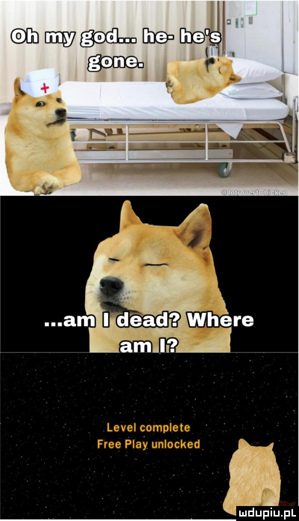 lmdupiupl
