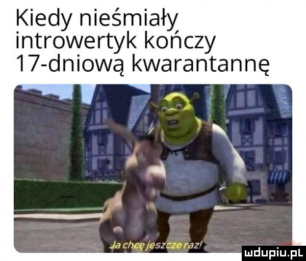 kiedy nieśmiały introwertyk kończy    dniową kwarantannę