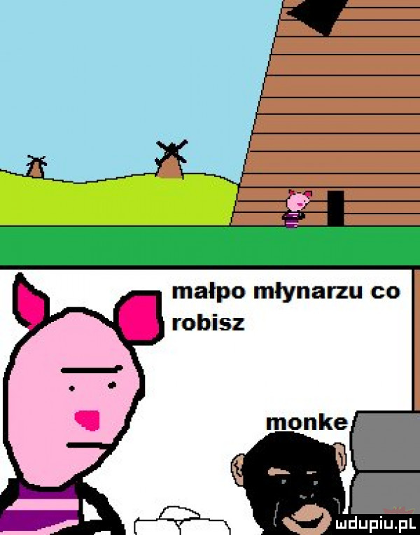 małpo młynarzu co robisz
