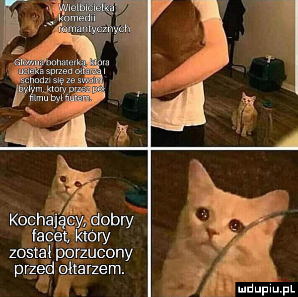 kochajéﬁdobry facet który został porzucony przed ołtarzem