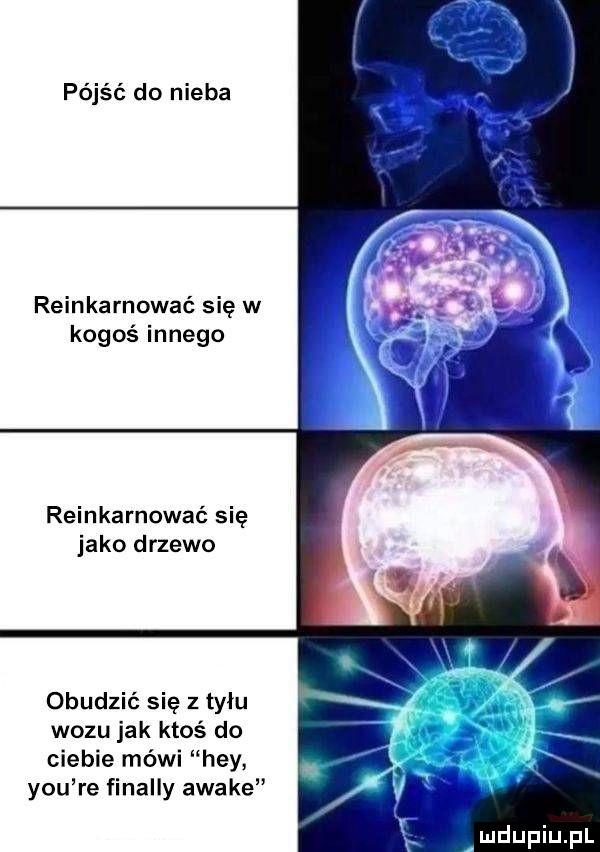 pójść do nieba reinkarnować się w kogoś innego reinkarnować się jako drzewo obudzić się z tyłu wozu jak ktoś do ciebie mówi hey y-u re finalny awale