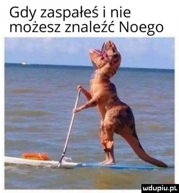 gdy zaspałeś i nie możesz znalezc noego
