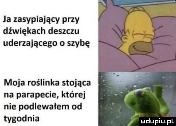 la zasypiający przy dźwiękach deszczu uderzającego o szybę moja roślinka stojąca na parapecie której nie podlewałem od tygodnia