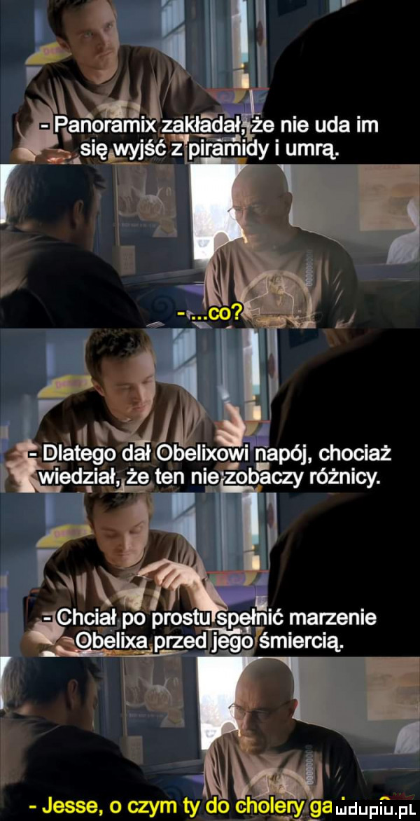 hi l alego dahobelixowi napój chqciaz jesse o czym ty do choleryaga mdupiu. pl