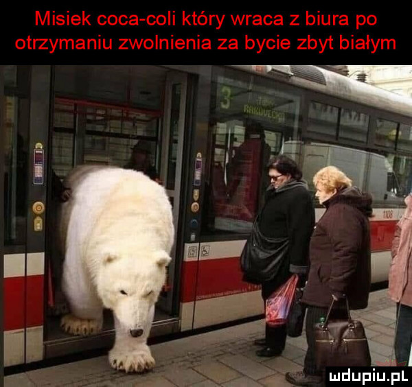 misiek caca coli który wraca z biura po otrzymaniu zwolnienia za bycie zbyt białym
