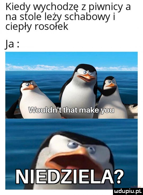 kiedy wychodzę z piwnicy a na stole leży schabowyi ciepły rosołek nieziela