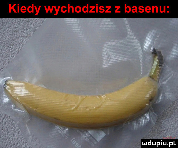 dualu. pl