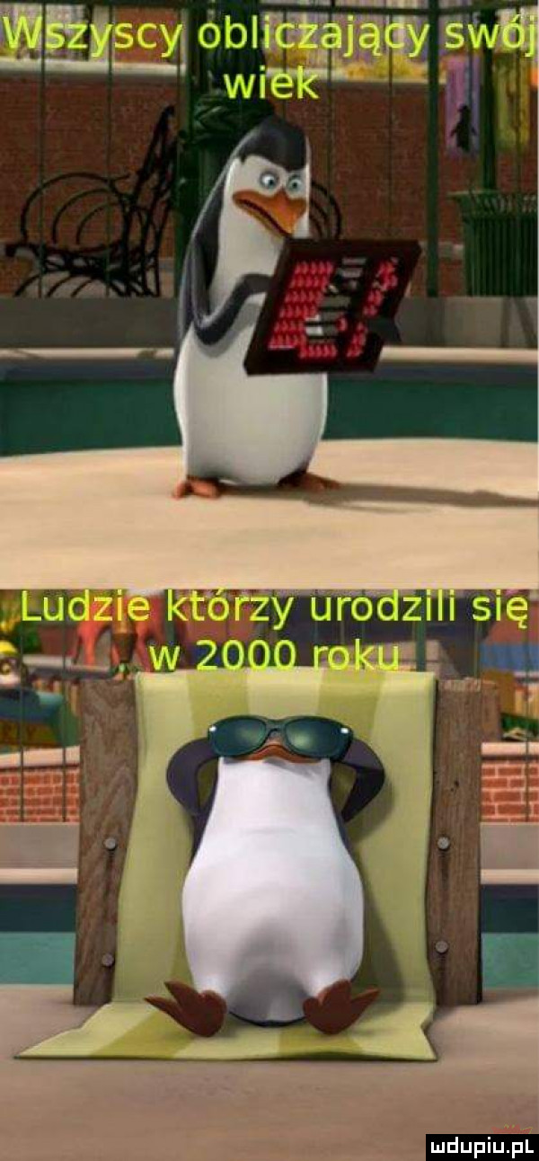 w    i ﬂ cą t v mdupiliﬁl
