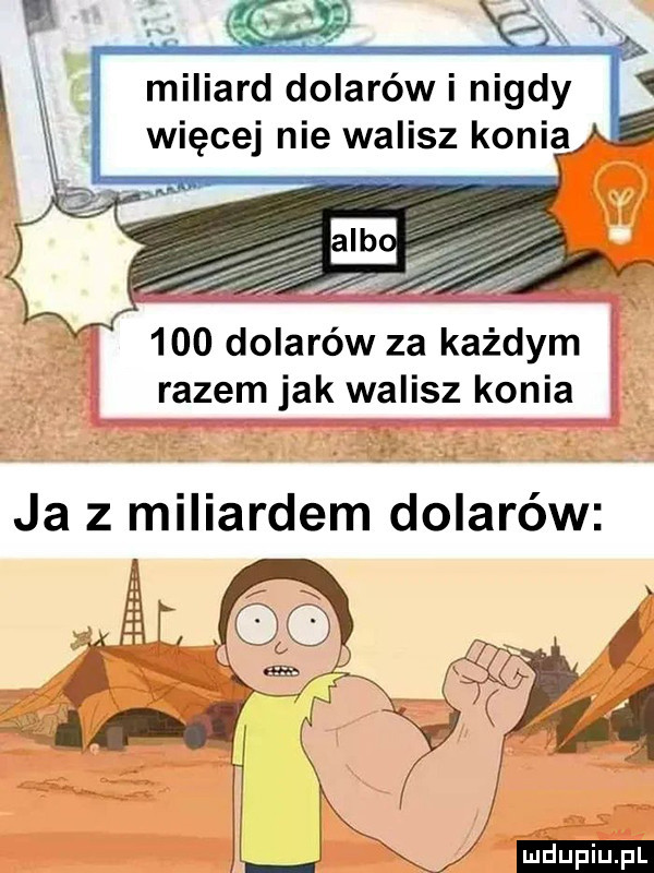 dolarów za każdym razem jak walisz konia ja z miliardem dolarów ludu iu. l