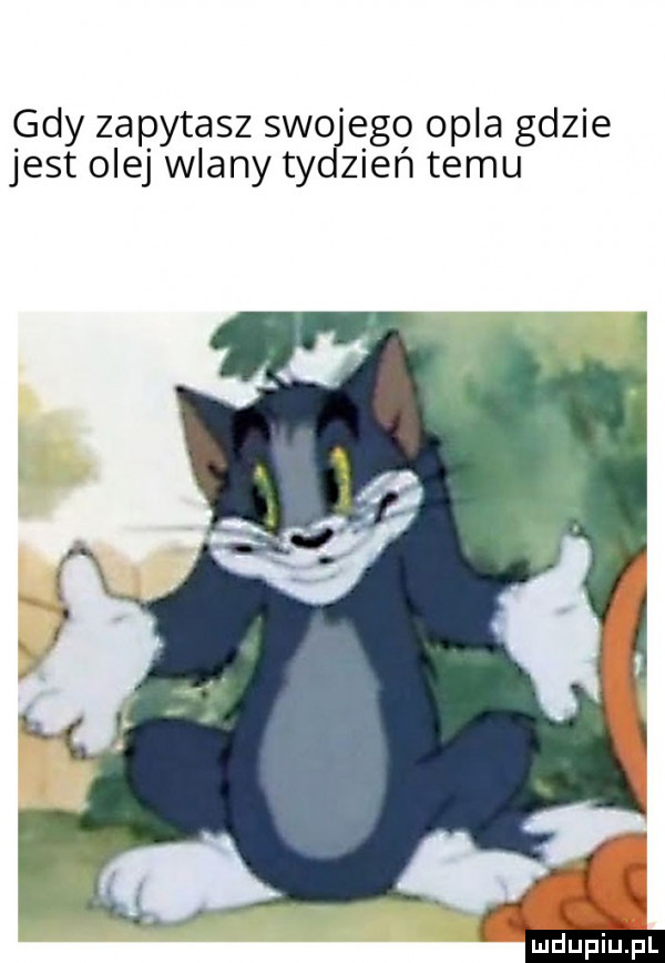 gdy zapytasz swojego opla gdzie jest olej wlany tydzień temu