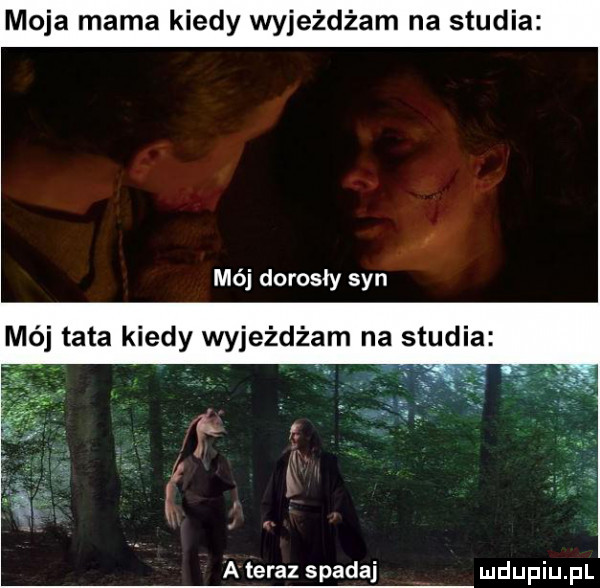 moja mama kiedy wyjeżdżam na studia mój dorosły syn mój tata kiedy wyjeżdżam na studia a teraz spadaj