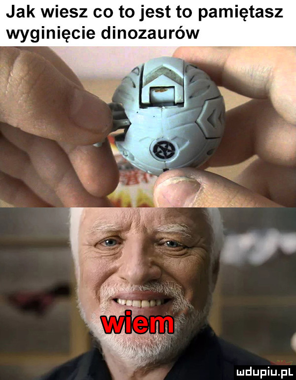 jak wiesz co to jest to pamiętasz wyginięcie dinozaurów