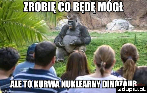 zrobię ell bęiię mógł. iran   pl