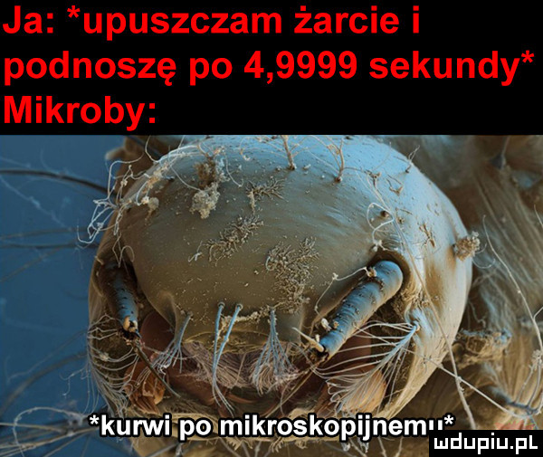 ja upuszczam żarcie i podnoszę po        sekundy mikroby