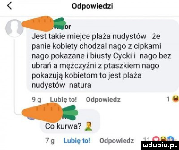 odpowiedzi i jest takie mielce plaża nudystów że panie kobiety chodzai nago z cipkami nago pokazane i biusty cycki i nago bez ubrań a mężczyźni z ptaszkiem nago pokazują kobietom to jest plaża nudystów natura    lubięio odpowiedz  . co kurwa. i. abakankami    lublęlp. odpowmdz