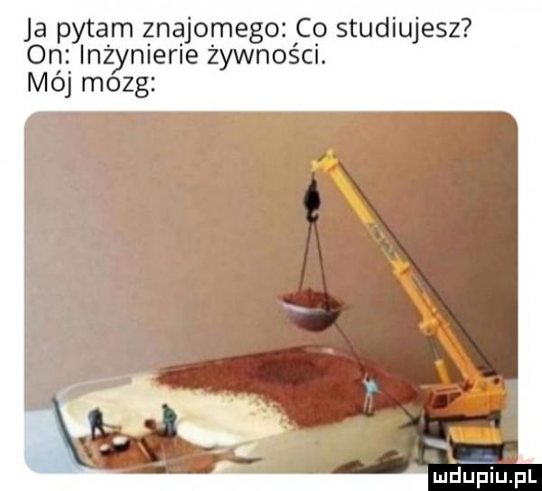 ja pytam znajomego co studiujesz on inżynierie żywności. mój mozg mru piupl