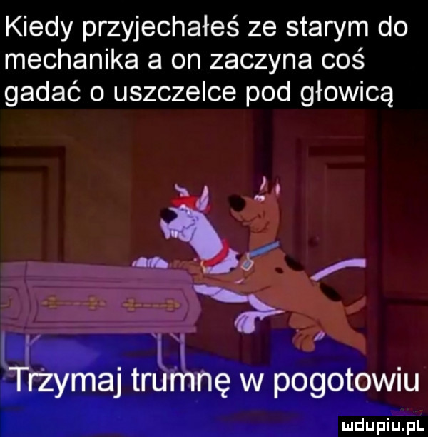 kiedy przyjechałeś ze starym do mechanika a on zaczyna coś gadać o uszczelce pod głowicą ęr zygaj tau nę w pogotowiu