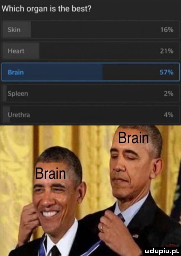 welch organ is tee best skin    hun    spleen