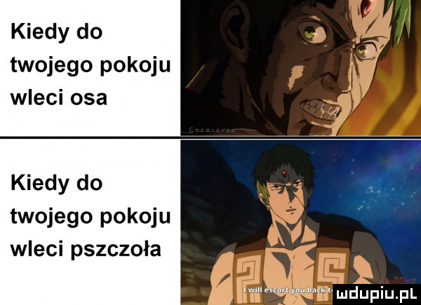 kiedy do twojego pokoju wleci osa kiedy do twojego pokoju wleci pszczoła i wm g. esconyauhuku
