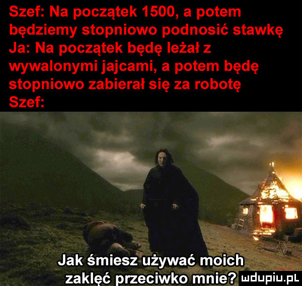 szef na początek      a potem będziemy stopniowo podnosić stawkę ja na początek będę leżał z wywalonymi jajcami a potem będę stopniowo zabierał się za robotę szef jak śmiesz używać zaklęć przeciwko mnie wdupiu. pl
