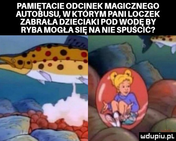 pamiętacie odcinek magicznego autobusu w którym pani loczek zabrala dzieciaki pod wodę by ryba mogła się na nie spuścić   i. j a w   x mdupiupl