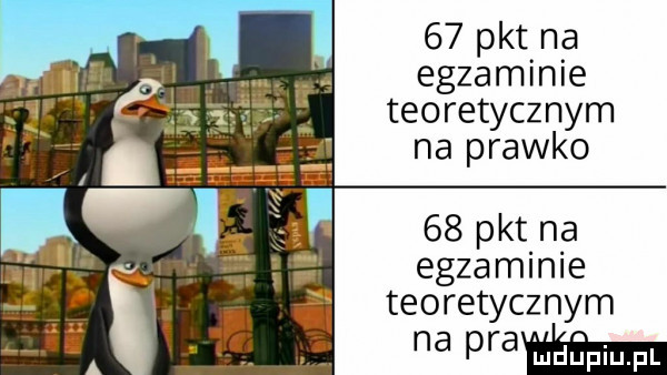 pkt na egzaminie teoretycznym na prawko egzaminie teoretycznym a prawą