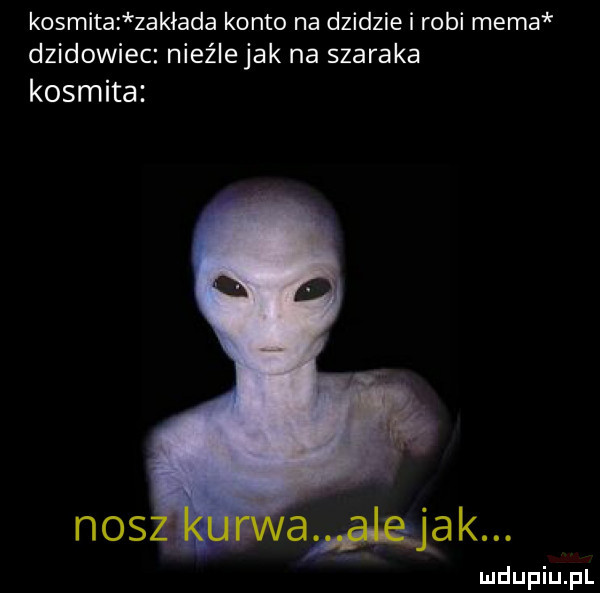 kosmita zakłada konto na dzidzie i robi mema dzikowiec nieźlejak na szaraka kosmita a ląiak