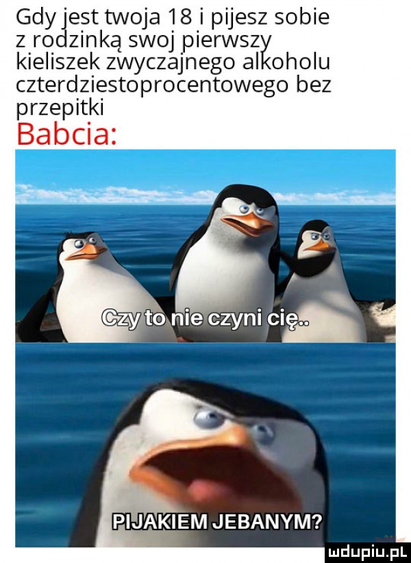 gdyd est twoja    i pijesz sobie z ro zenką swoj pierwsza kieliszek zwyczajnego al obolu czterdziestoprocentowego bez przebitki. pijakiem jebanym