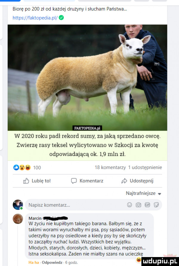 biorę po     z od kazdej druzyny smmam panstwa. https j vaktopedlapl o w      roku padl rekord sumy za jaką sprzedano owcę wierzę rasy lessel wylicytowane w szkocji za kwotę odpowiadającą ok     mln zł. mu w aommżmzy w u c turmsn e c lubm o ś komana z i udostcpn u namavmeme. abakankami main w w zyou me kupnbym takiego barana. batym się ze z taśm woraml wymchalby rm psa psy sąsnadow peem uderzylby na psy usuemowe a ordy psy by się skończyły to zacząłby ruchac mm. wszystkich bez wyjątku. młodych starych doroslym dzieju koblely mezczyzn. irma seksokahpsa. zaden me mm szans na ucieczkę odpnmedl