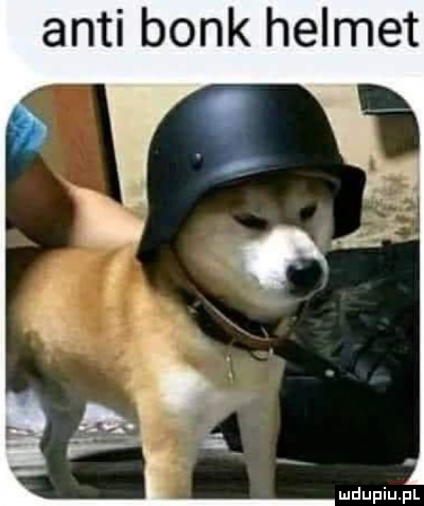 anki bonk helmut