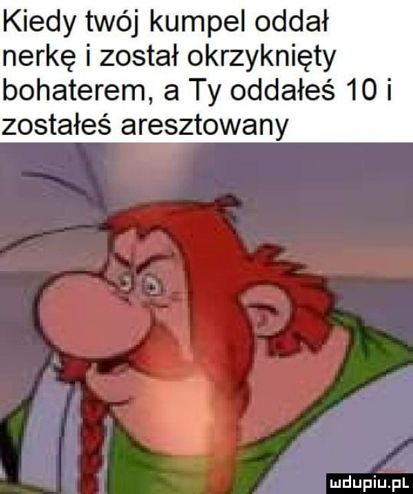 kiedy twój kumpel oddał nerkę i został okrzyknięty bohaterem a ty oddałeś    i zostałeś aresztowany ć. abakankami