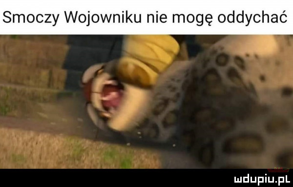 smoczy wojowniku nie mogę oddychać f