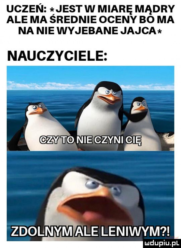 uczen jestw miarę mądry ale ma średnie oceny bo ma na nie wyjebane jajca nauczyciele zdolnym ale leniwym