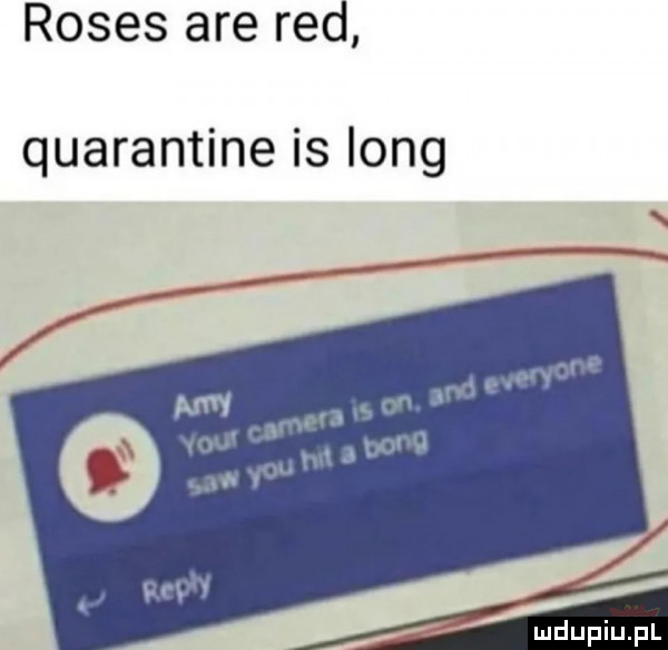 roses are red quarantine is long