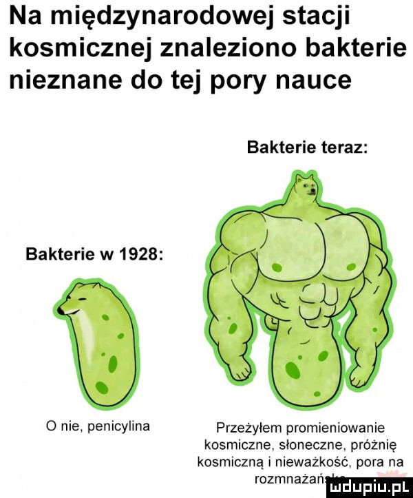 na międzynarodowej stacji kosmicznej znaleziono bakterie nieznane do tej pory nauce bakterie teraz bakterie w      f   nie penicylina przeżyłem promieniowanie kosmiczne słoneczne próżnię kosmiczną niewazkośc pora na rozmawiam