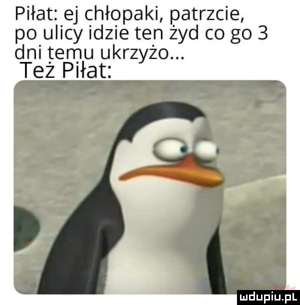 piłat ej chłopaki patrzcie po ulicy idzie ten żyd co go   dni terrju ukrzyżo. tez piłat